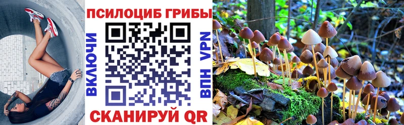 как найти наркотики  Нефтекумск  Галлюциногенные грибы прущие грибы 